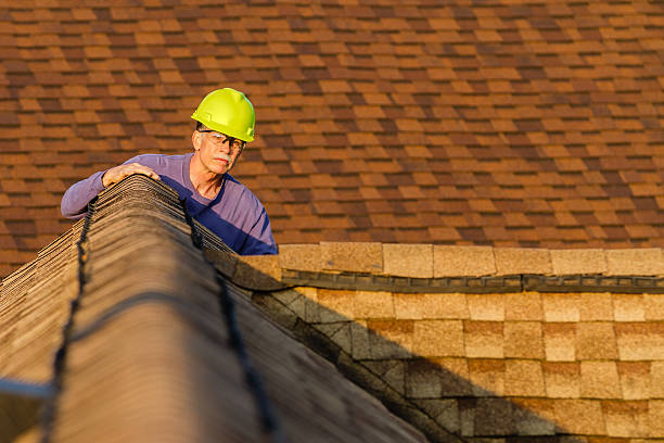 Best Roof Gutter Cleaning  in Hancock, MI