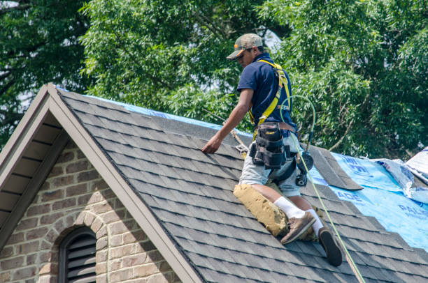 Best Roof Restoration Services  in Hancock, MI